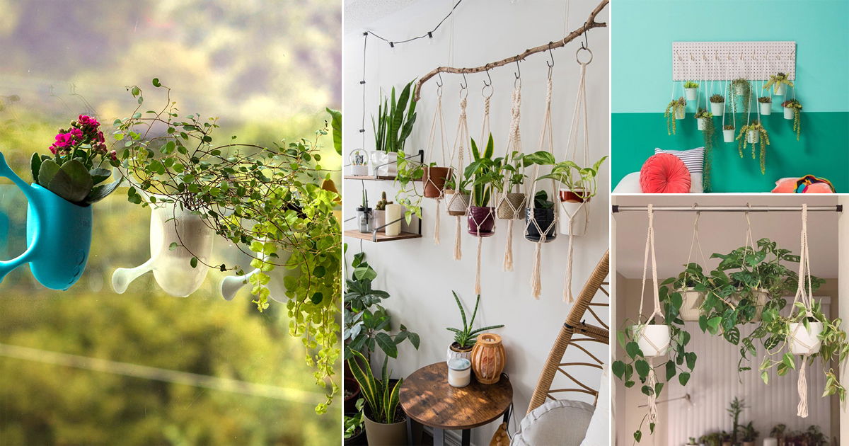 5 Common Mistakes to Avoid with Hanging Plants