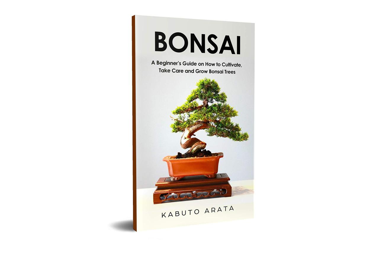 The Complete Bonsai Care Guide for New Growers