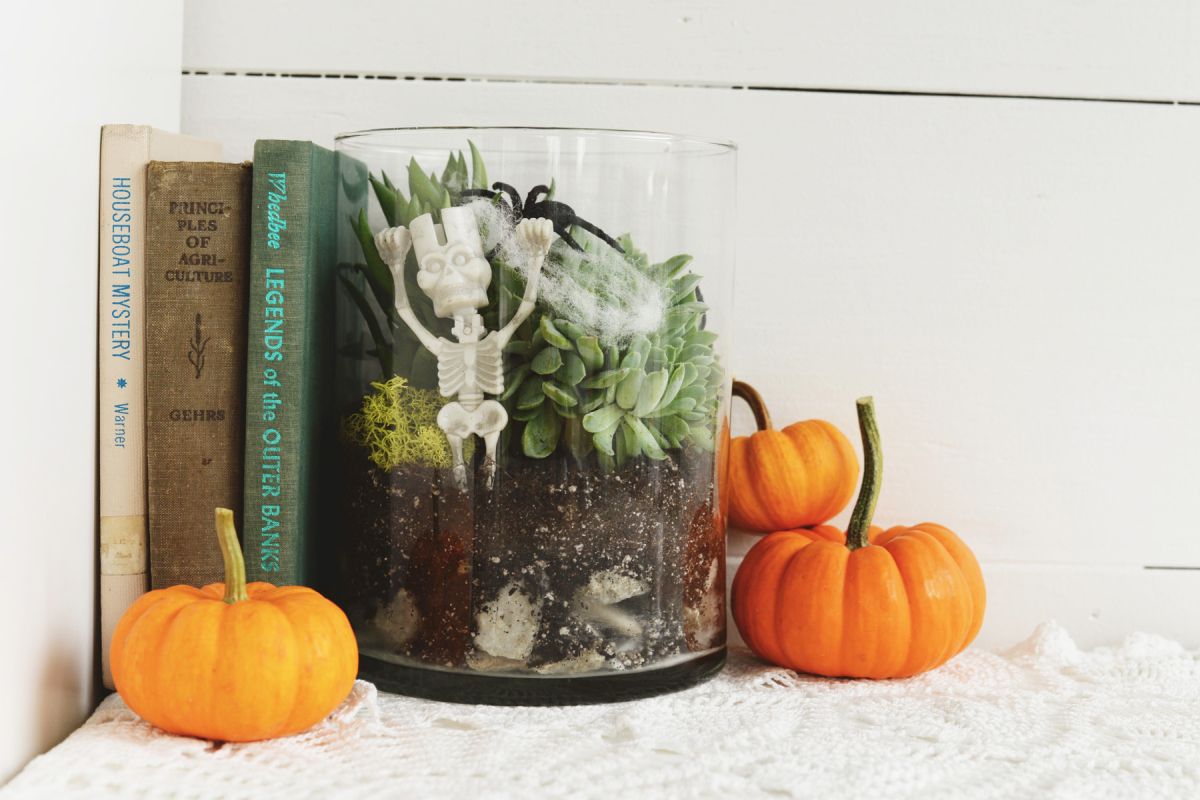 Terrarium halloween