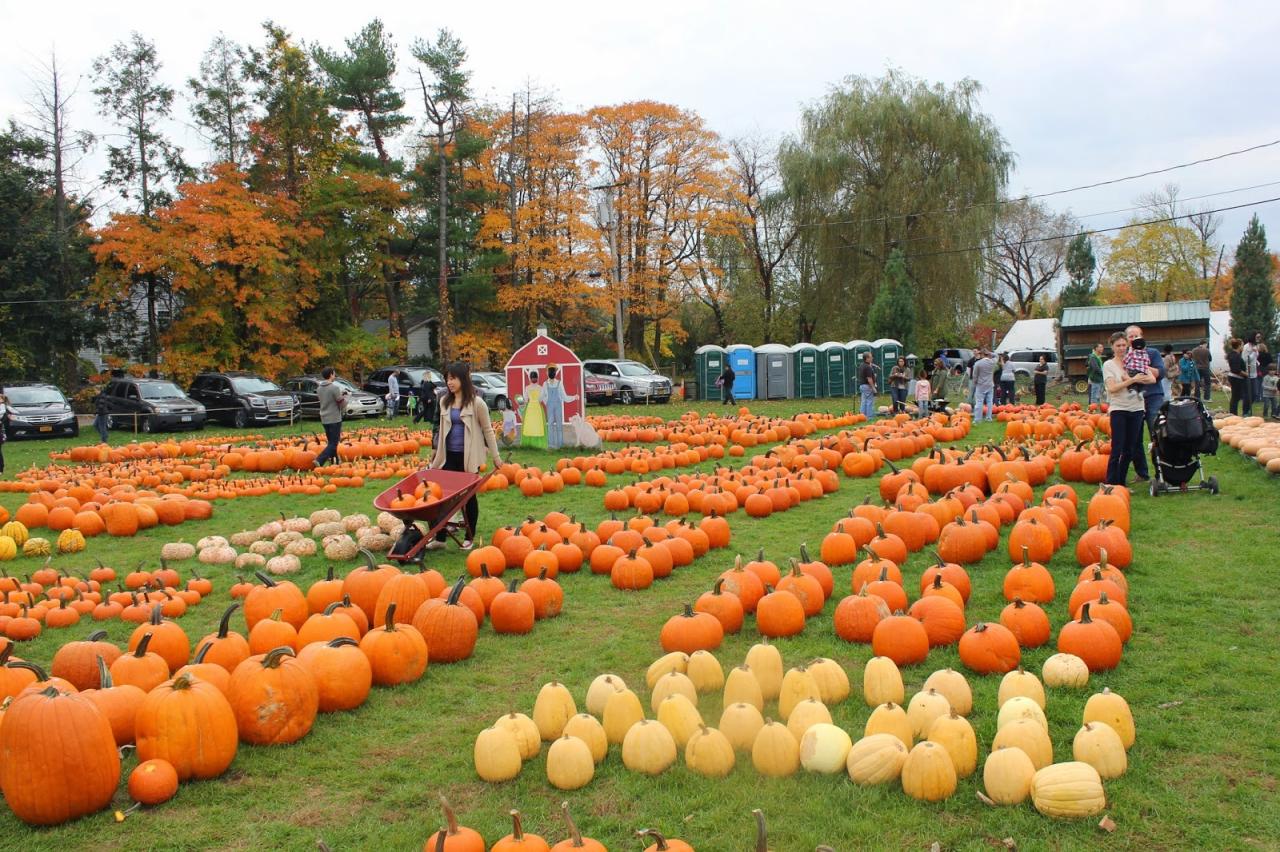 Why Kids Love Harvest Moon Farm and Orchard!