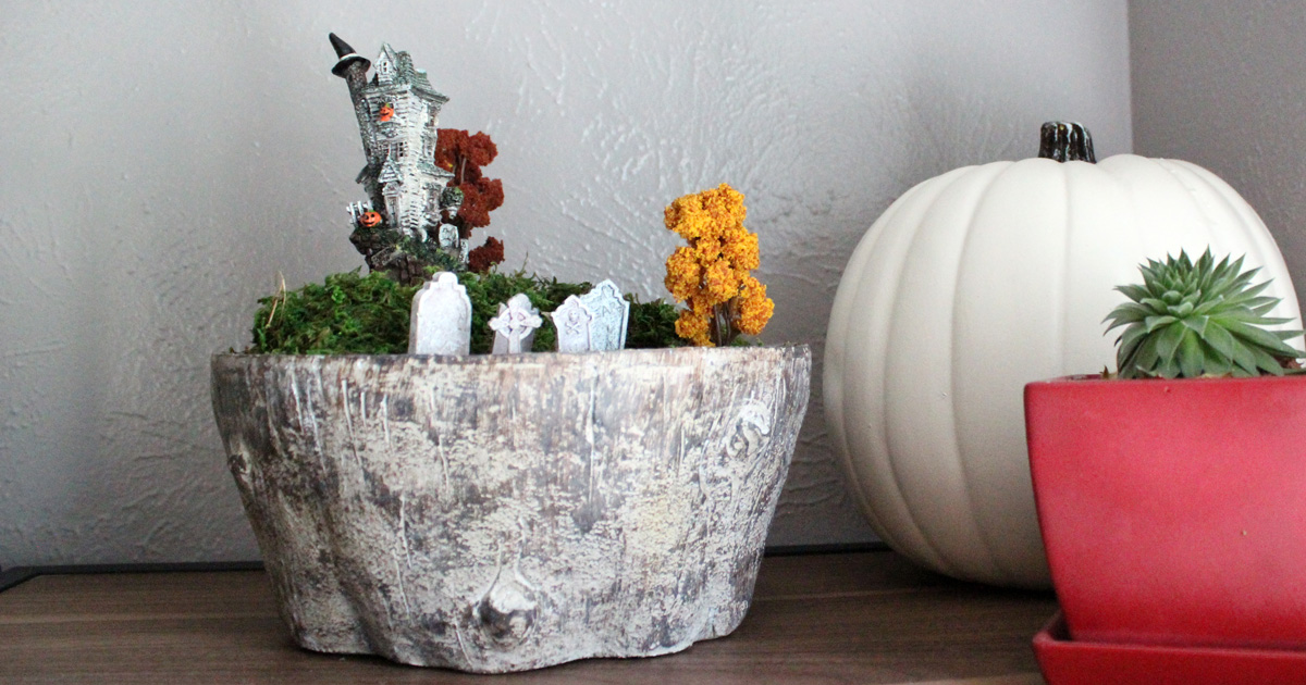 How to Grow Spooky Halloween Houseplants in a Terrarium